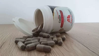 caga-sibirska-tabletky